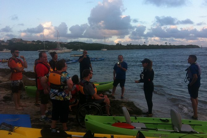 Bio Bay Night Kayaking with Transport from San Juan Area - Is $125 a fair price?