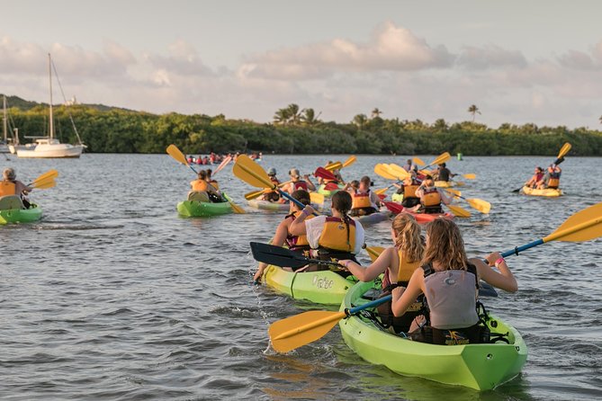 Bio Bay Night Kayaking with Transport from San Juan Area - Paddling the mangrove channel at sunset