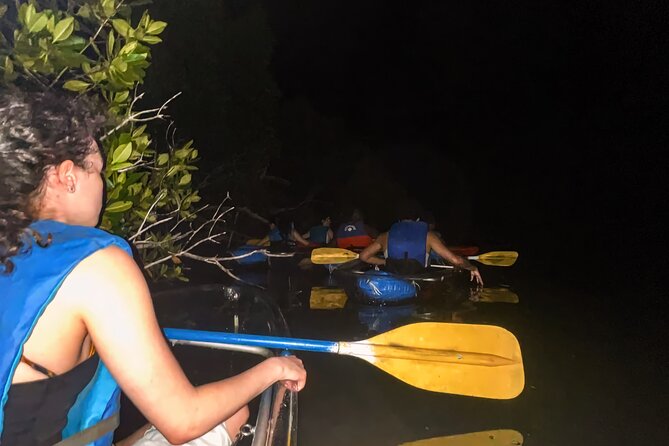 Bio Bay Tour Vieques – Full Clear Canoes Experience - Group Size, Comfort, and Pace