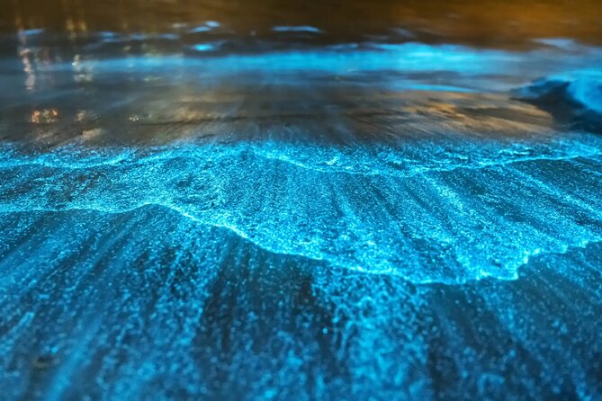 BioBay Sunset Splash-Kayaking Tour - Key points to know before booking