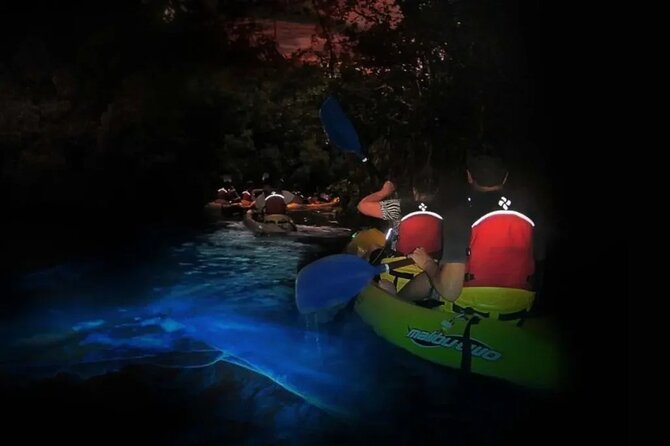 BioBay Sunset Splash-Kayaking Tour - First, sort out what this tour actually is