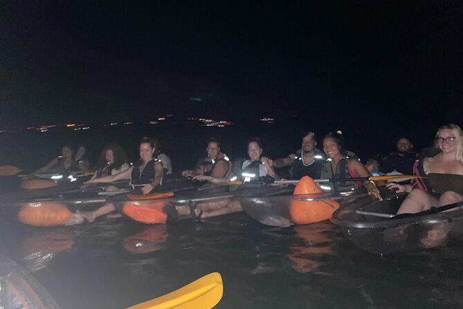 Biobay Vieques Tour Kayak Night Tour - What the $60 price really covers