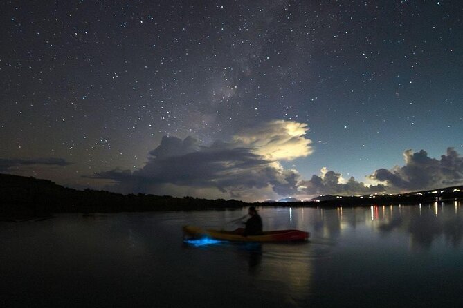 Biobay Vieques Tour Kayak Night Tour - Who will enjoy this most