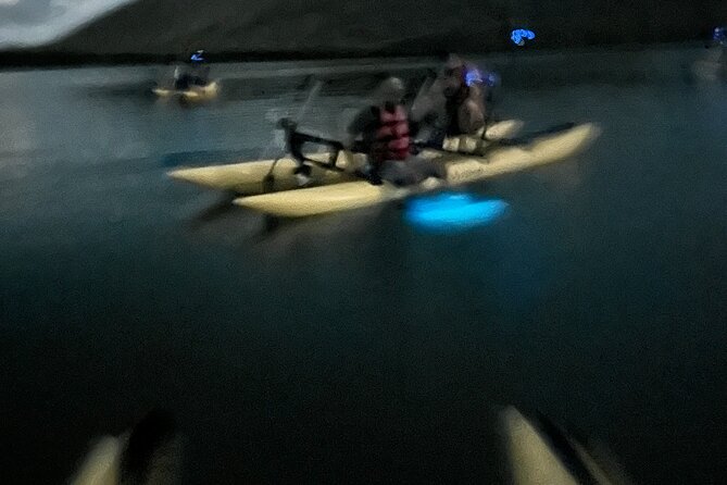Bioluminescent Bay Chiliboats Waterbike Tour in La Parguera - The guides and the tone of the outing