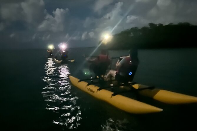 Bioluminescent Bay Chiliboats Waterbike Tour in La Parguera - How much value you get for $79