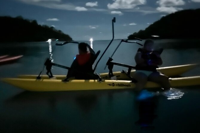 Bioluminescent Bay Chiliboats Waterbike Tour in La Parguera - Choosing the right night and setting expectations