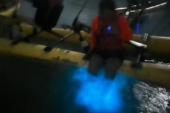 Bioluminescent Bay Chiliboats Waterbike Tour in La Parguera - Arriving at Punta Papayo and getting ready