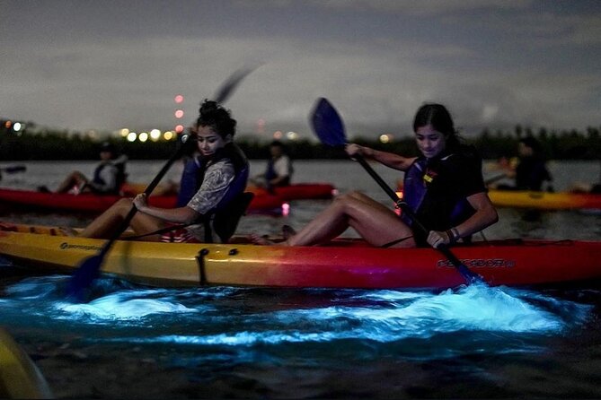 Bioluminescent Bay Kayak Tour in Fajardo Puerto Rico - Key points to know before you paddle