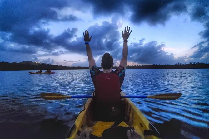 Bioluminescent Bay Kayak Tour in Fajardo Puerto Rico - Through Bahia Fajardo’s mangrove channel