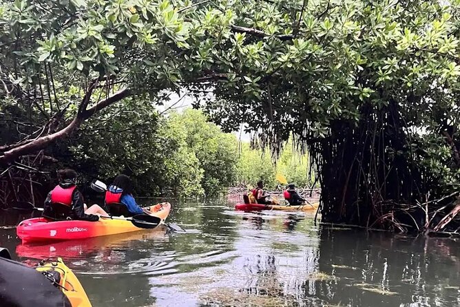 Bioluminescent Bay Kayak Tour in Fajardo Puerto Rico - Reaching Laguna Grande after 45 minutes