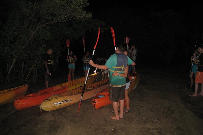 Bioluminescent Bay Kayak Trip from Vieques - Key points at a glance