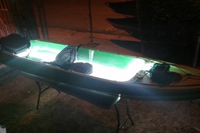 Bioluminescent Bay Kayak Trip from Vieques - What the $65 price really covers