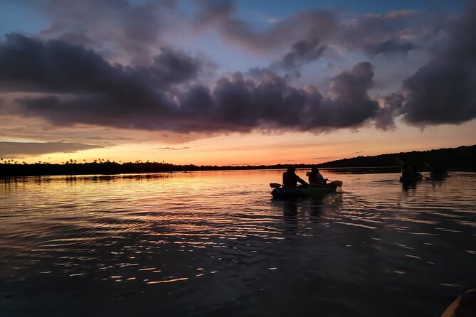 Bioluminescent Bay Night Kayaking Adventure in Puerto Rico - What the Fajardo night kayak actually offers
