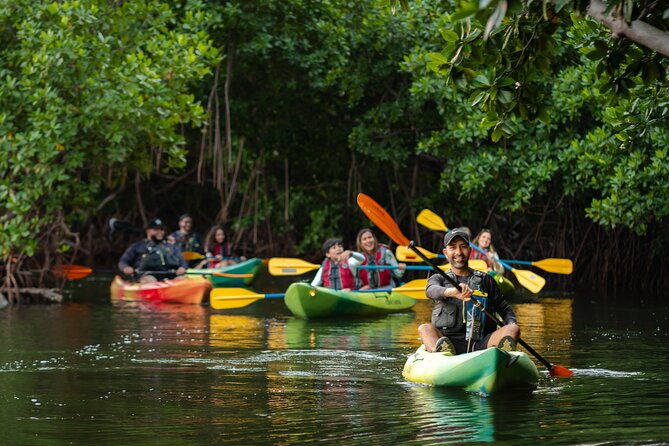 Bioluminescent Bay Night Kayaking Adventure in Puerto Rico - The wet, buggy, and slightly messy details