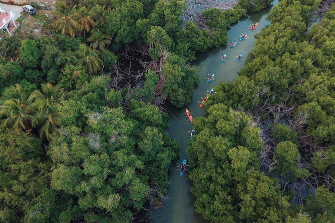 Bioluminescent Bay Night Kayaking Adventure in Puerto Rico - Who will enjoy this tour most