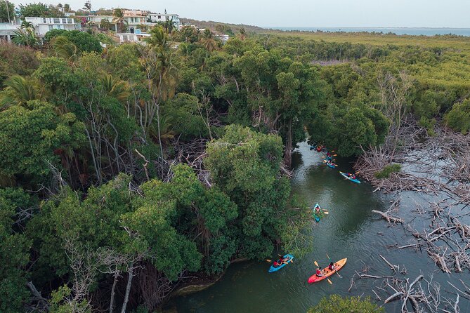 Bioluminescent Bay Night Kayaking Adventure in Puerto Rico - Timing, weather, and the cancellation risk