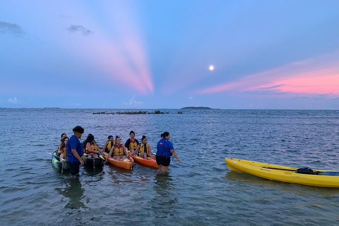 Bioluminescent Bay Night Kayaking, Fajardo - Key points before you book