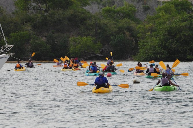 Bioluminescent Bay Night Kayaking, Fajardo - What the $79 price buys you