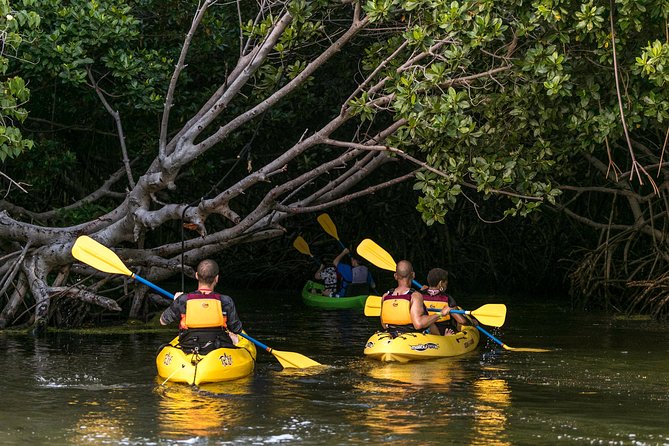 Bioluminescent Bay Night Kayaking, Fajardo - The good and bad of a small nighttime group