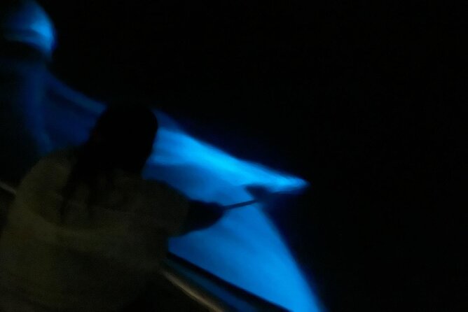 Bioluminescent Boat Tour in Mosquito Bay, Vieques - Boat versus kayak at Mosquito Bay