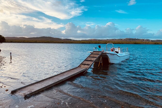 Bioluminescent Boat Tour in Mosquito Bay, Vieques - Moon phase, weather, and what you will actually see