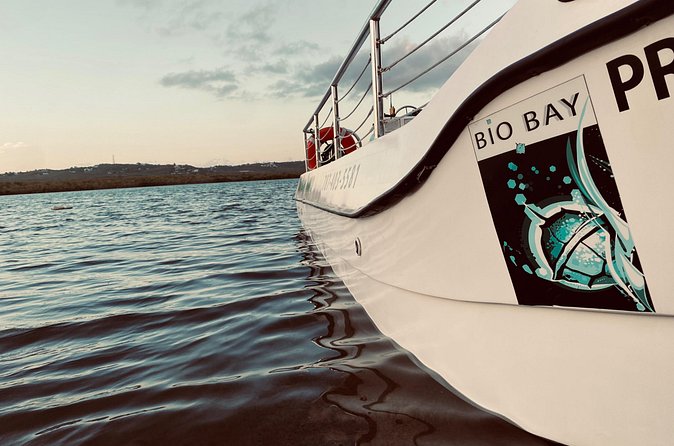Bioluminescent Boat Tour in Mosquito Bay, Vieques - Is $100 a fair price?