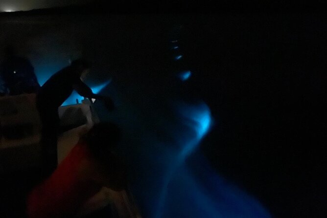 Bioluminescent Boat Tour in Mosquito Bay, Vieques - Who should book this catamaran outing