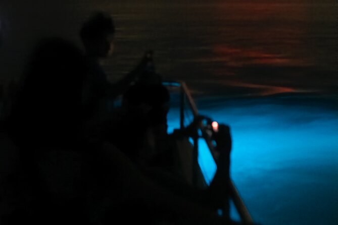 Bioluminescent Boat Tour in Mosquito Bay, Vieques - What the 40 to 60-minute outing feels like