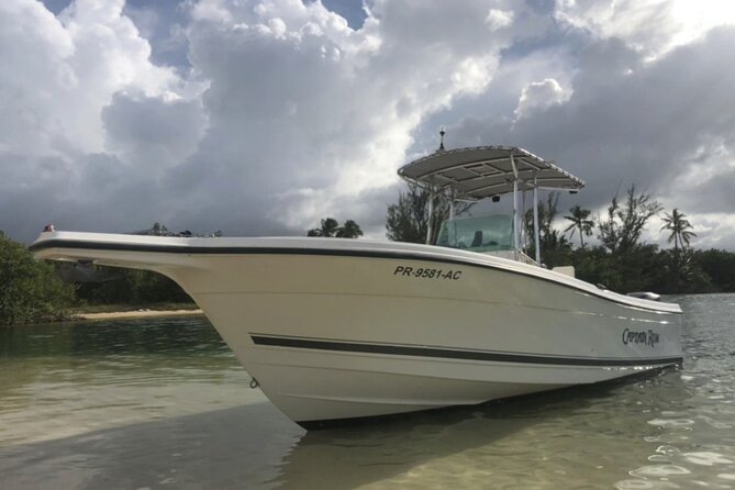 Boat trip in palomino /icacos /fajardo Puerto Rico - Key points to know before booking