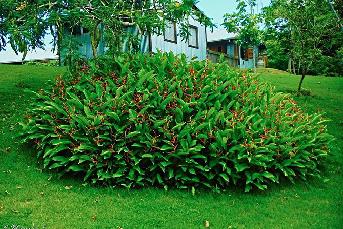 Caguas Cultural Day Trip from San Juan Including Botanical Garden and Lunch - Is $90 a fair price?