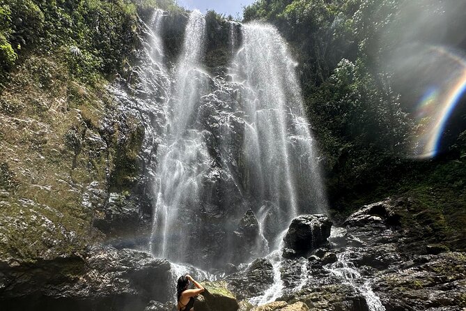 Chase Waterfalls - Discover a hidden 180ft rainforest gem - The 180-foot waterfall is worth the effort