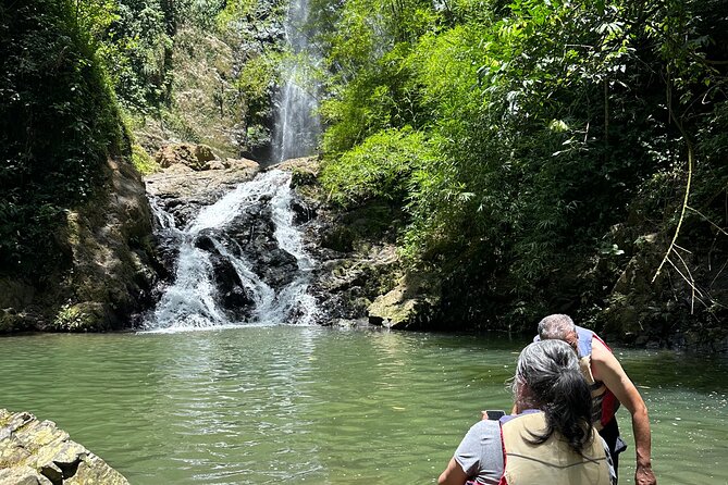 Chase Waterfalls - Discover a hidden 180ft rainforest gem - The return walk is part of the deal