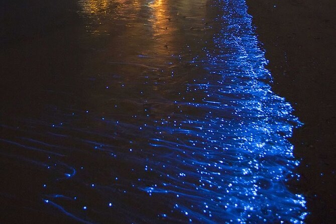 CLEAR BOTTOM KAYAKS Tour in Bioluminescent, Mosquito Bay - Key things to know before booking