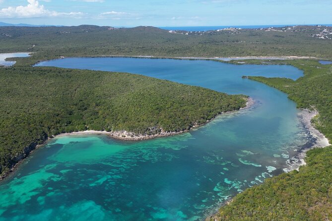 CLEAR BOTTOM KAYAKS Tour in Bioluminescent, Mosquito Bay - Who will enjoy this most
