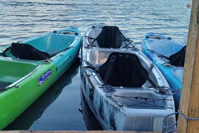 CLEAR BOTTOM KAYAKS Tour in Bioluminescent, Mosquito Bay - Practical ways to improve your night