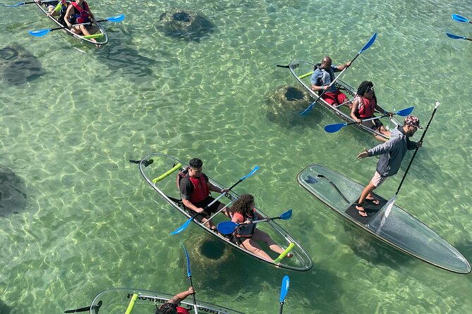 Clear Kayak Tour in Condado Lagoon - Key points to know before booking