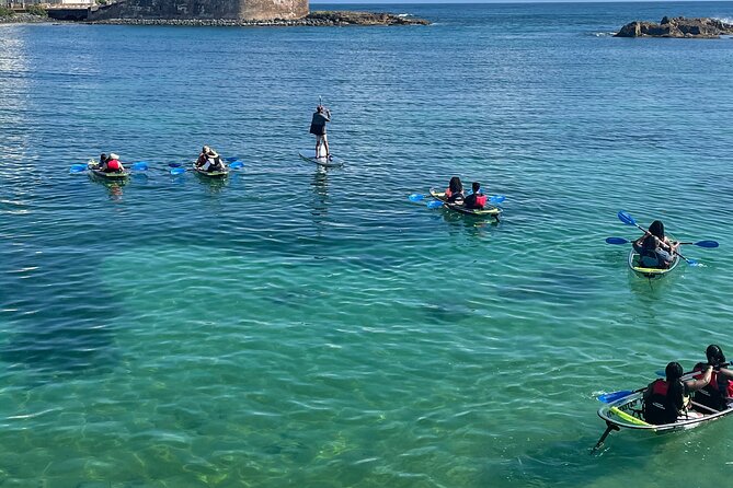 Clear Kayak Tour in Condado Lagoon - Wildlife sightings are the bonus, not the promise