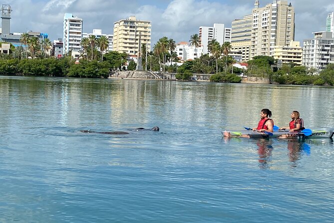 Clear Kayak Tour in Condado Lagoon - Photos, rain, and the small practical details