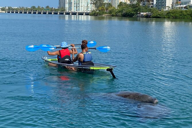 Clear Kayak Tour in Condado Lagoon - Who should book this Condado Lagoon outing?