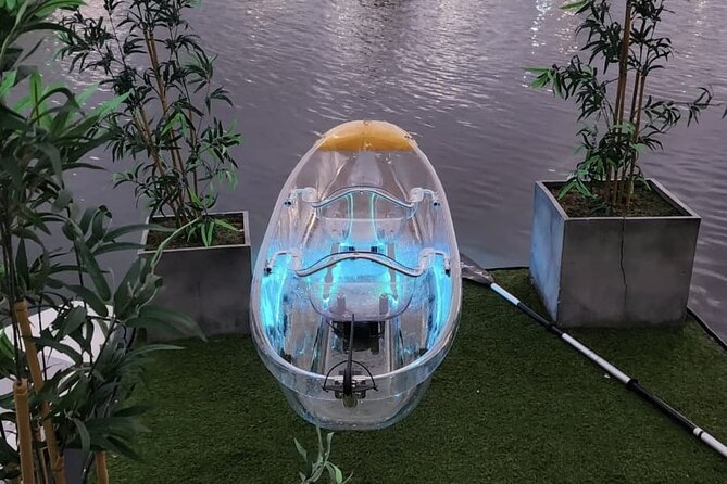 Clear LED Kayaking in Condado Lagoon - What the guides add to the hour
