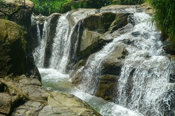 Coffee Plantation and River with Waterfalls in Puerto Rico - Weather, timing, and practical details