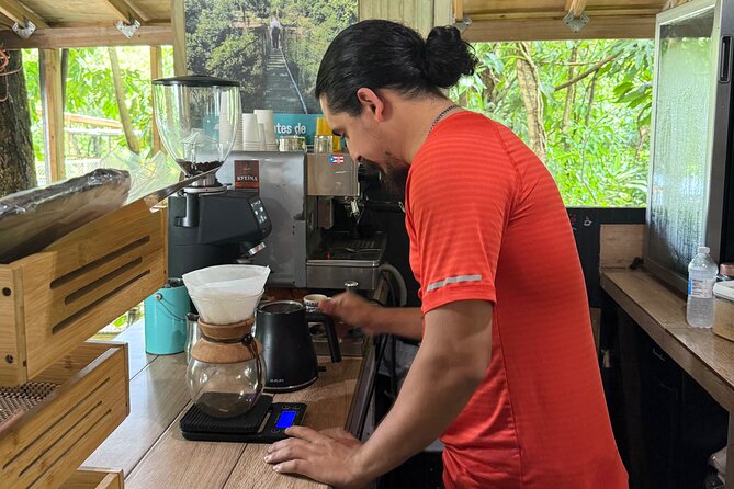 Coffee & Waterfalls Tour: from the mountains to the cup - What the $285 price includes