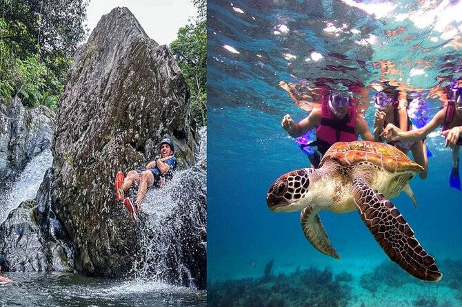 Combo El Yunque Rainforest and San Juan Snorkeling with Transport - One day, two sides of Puerto Rico