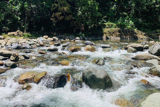 Concrete Jungle to the Actual Jungle, The Complete Package Tour - What the $280 Price Buys You