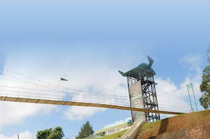 Conquer the Skies: Monster Zipline at Toro Verde Adventure Park - Photos, Food, and Making a Day of It