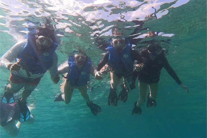 Coral Reef and Sea Turtle Snorkeling Experience - Two Culebra Beaches, One Compact Morning