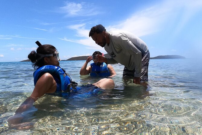 Coral Reef and Sea Turtle Snorkeling Experience - Melones Beach and the Coral Reefs