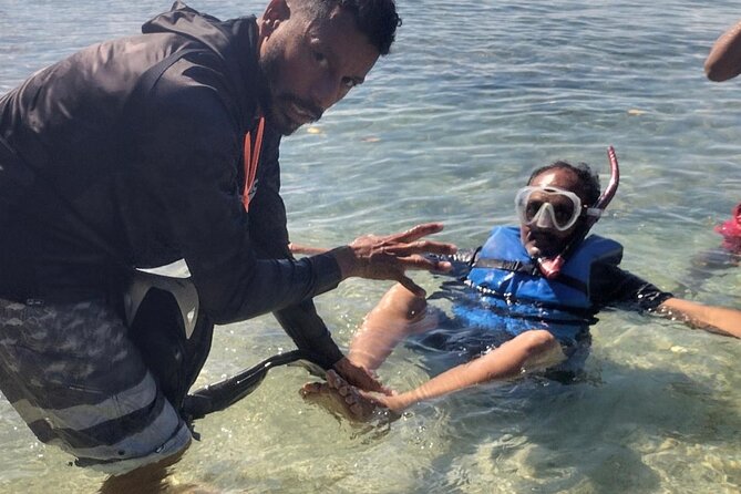 Coral Reef and Sea Turtle Snorkeling Experience - How the $165 Price Measures Up
