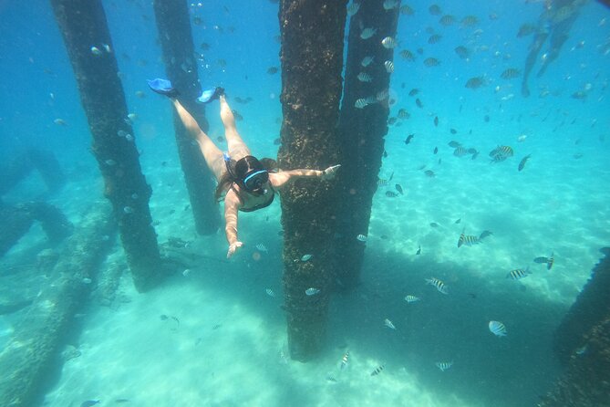 Coral Reef Snorkel Adventure with Photos and Videos - Quick points to know before you book