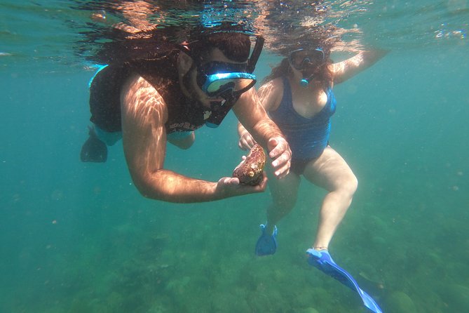 Coral Reef Snorkel Adventure with Photos and Videos - The first 10 minutes: learning the basics on shore